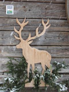 Almhütte Brandgut - 9