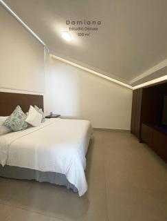Marisol Hotel Boutique - San José del Cabo - 3