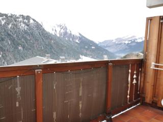 Studio charmant à Châtel avec balcon et parking couvert proche des pistes - FR-1-693-64 - Châtel - 2