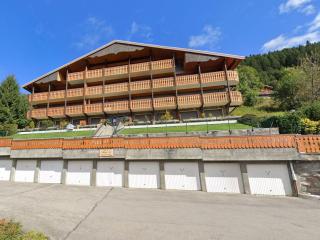 Studio charmant, proche télésiège, parking inclus - FR-1-693-86 - Châtel - 9