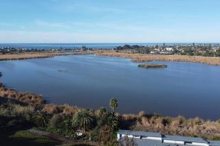 Ocean Views from this Beach-Themed Gem by Village! - Carlsbad - 9