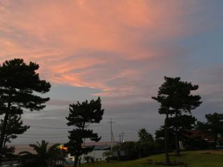 tebaz - Jeju - 4