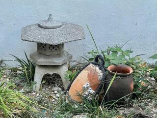 漁師宿三浦屋秀栄丸 - Shodoshima - 5