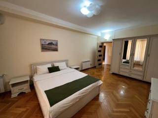 Promenade 2 BDR Apartment - Baku - 4