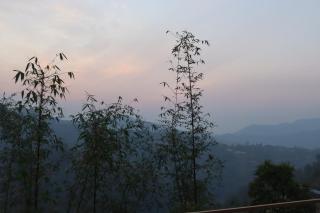 Srijana Farm - Pālpā - 7