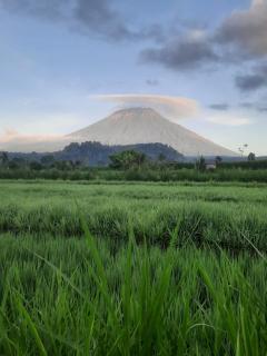 Uma Buug - Karangasem - 0