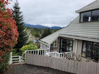 views and space for large groups - 5 bedrooms, 2 kitchens and 3 bathrooms - Hanmer Springs - 4
