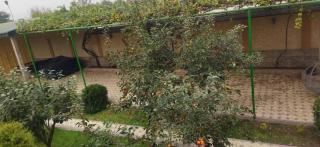 Club Resort Kulob - 8