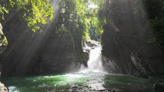 The Oasis, Jungle Sanctuary - Barú - 6
