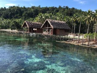 Where the Wild Things Are - Pulau Birie - 0