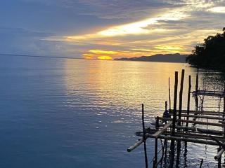 Where the Wild Things Are - 4