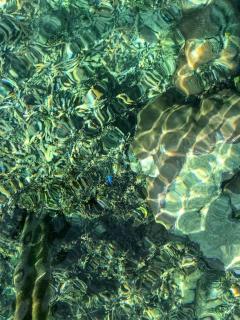 Where the Wild Things Are - 2