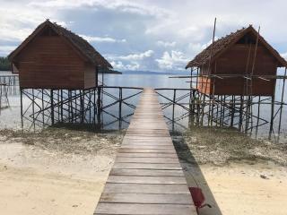 Where the Wild Things Are - Pulau Birie - 1