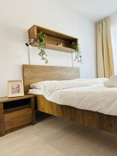 Arya Apartment-Free underground parking-ULTRACENTRAL - Cluj-Napoca - 2