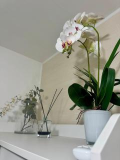 Casa Alessio - Elegante Appartamento nel Cuore di Cesano Maderno - Cesano Maderno - 1