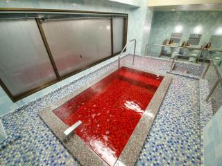 Hotel Naito Kofu Showa - Kofu - 3