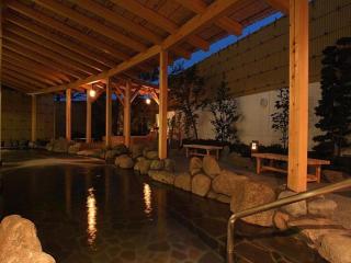 Hadano Yugawara Onsen Manyo no Yu - Hadano - 9