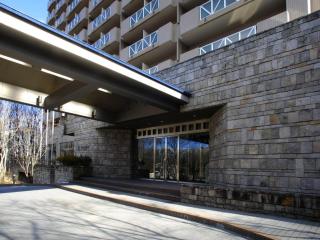 Villa Kitakaruizawa L-Wing - Tsumagoi - 2