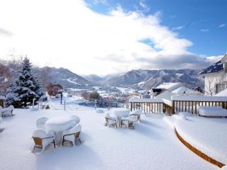 Sierra resort Yuzawa - Yuzawa - 6