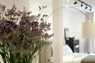 Studio Calm Baden-Baden - 0