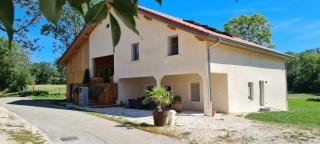 LE NID DES PLANCHETTES - Suite Chambres d'Hôtes - 0