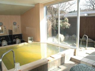 Kosugi Resort - Aso - 5