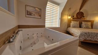 La suite Nature jacuzzi au cœur du château de Boissettes - Boissettes - 8