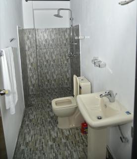 Shiny cot Double room with lake view - Nuwara Eliya - 6