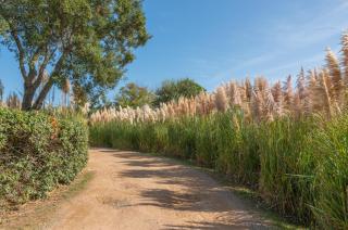 Résidence Domaine De Caranella - 1