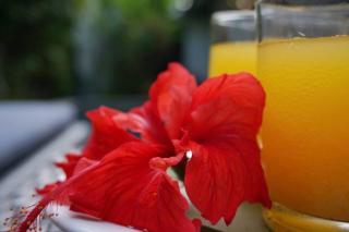T&J2 - Central Petitenget 2BR villa, walk to beach - Umalas - 3