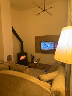 ApartMaN 11,free garage,ski to door - Bjelašnica - 4