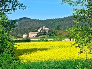 La Torre del Vilar - Santa Eulalia de Ríuprimer - 7