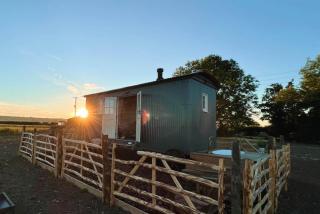 The Romney by Bloom Stays - 0