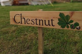 Chestnut 6m bell tent-Log burner-nr Whitby-Parking - 3