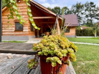 ADORA River Retreat - Avrig - 4