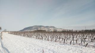 Flamingó Étterem, Magánszálláshely - 8