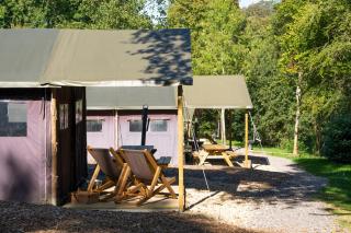 Bucklebury Farm - 9
