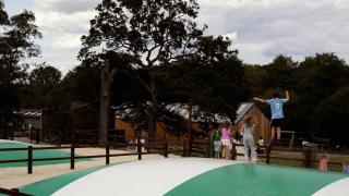 Bucklebury Farm - 4