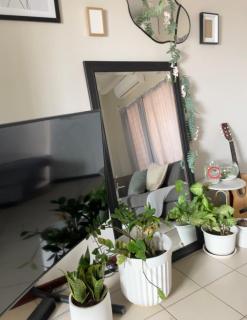 Lofty Living in Tsholofelo West-Gaborone - 1 bed - Gaborone - 9