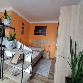 Apartment Le Chat - Radom - 2