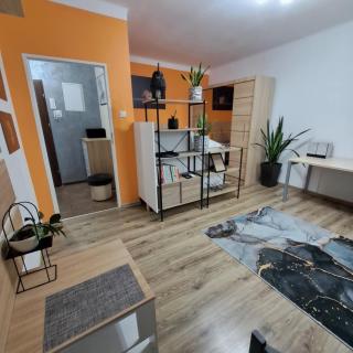 Apartment Le Chat - Radom - 0