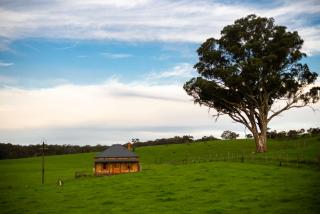 The Old Farm Cottage, Mount Torrens - 4