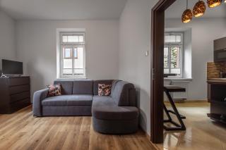Apartamenty City Center Silver - bezpłatny parking - 1