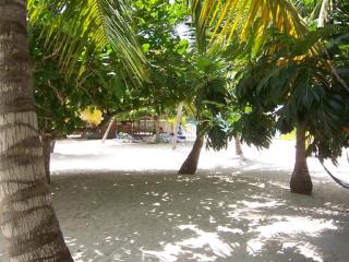 Yellow Bird Sea - Negril - 5