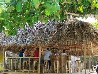 Yellow Bird Sea - Negril - 3