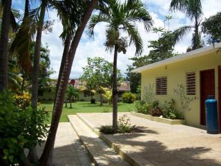 Yellow Bird Sea - Negril - 1