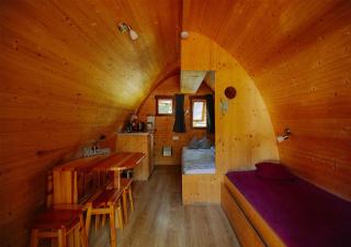 AZUR Waldcamping Auwaldsee - Ingolstadt - 6