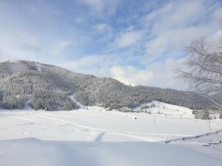 Ferienhaus Schäfer - Apartments - Wintersports - Family holiday - Holiday with your dog - Rural & Scenic - 2