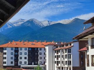 Dream Private Apartment N511 - Bansko - 6