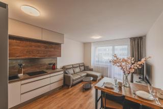 Luxusní Apartmán U Petrofa s vlastním parkovacím místem - Hradec Králové - 0